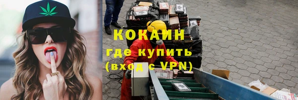 прущие грибы Балахна
